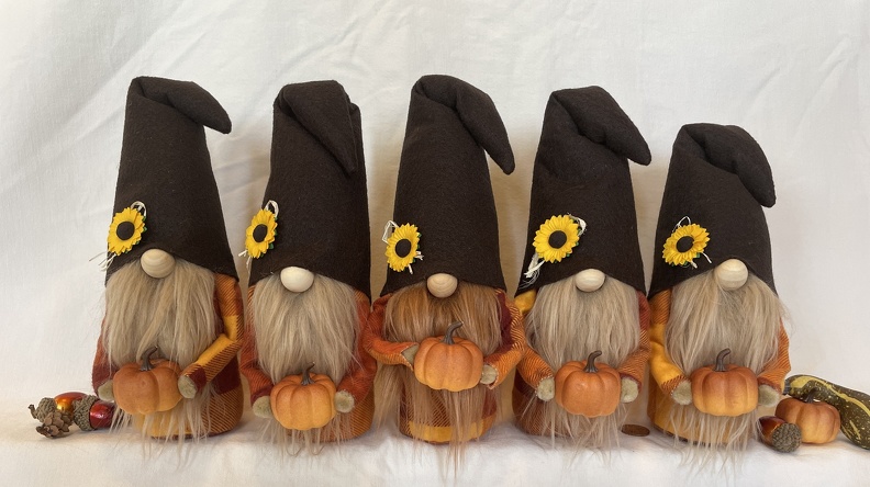 Autumn Gift Box Gnomes4.JPG